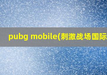 pubg mobile(刺激战场国际版)